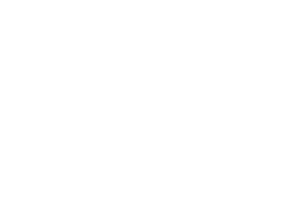 logo theindianbytes