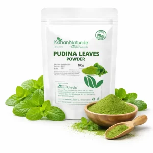 Pudina / Mint Leaves (Mentha) Powder 100 gm