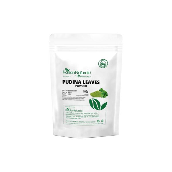 Pudina / Mint Leaves (Mentha) Powder 100 gm