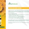 Stingless Bee Honey 150gm/250gm/1KG - Image 4
