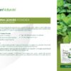 Pudina / Mint Leaves (Mentha) Powder 100 gm - Image 4