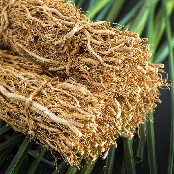 Kerala Naturals Vetiver